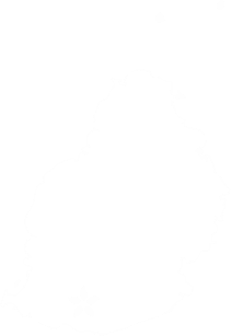 Carte de l'île Maurice